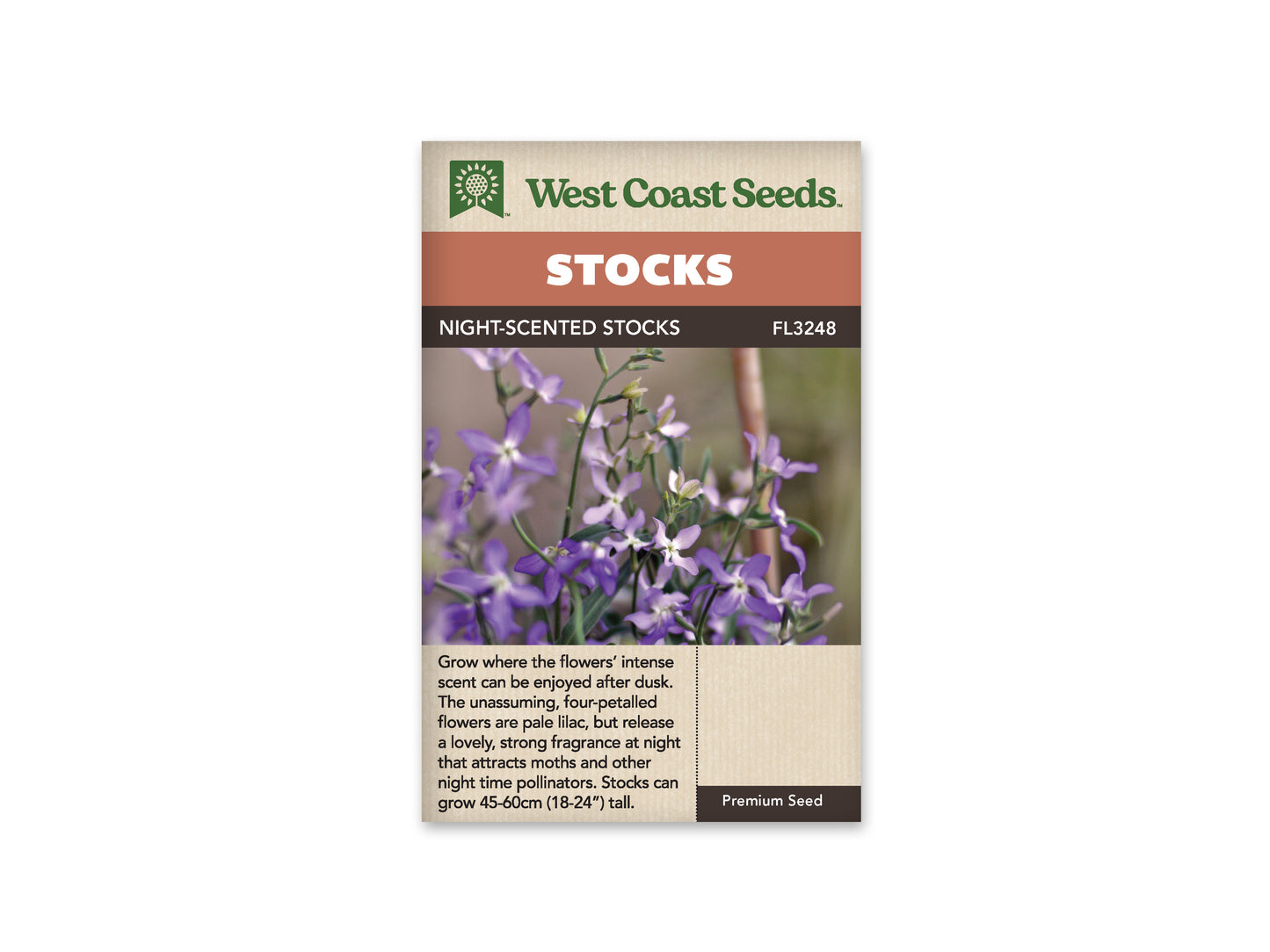 Stock "Evening Scented Stock" West Coast Seeds
