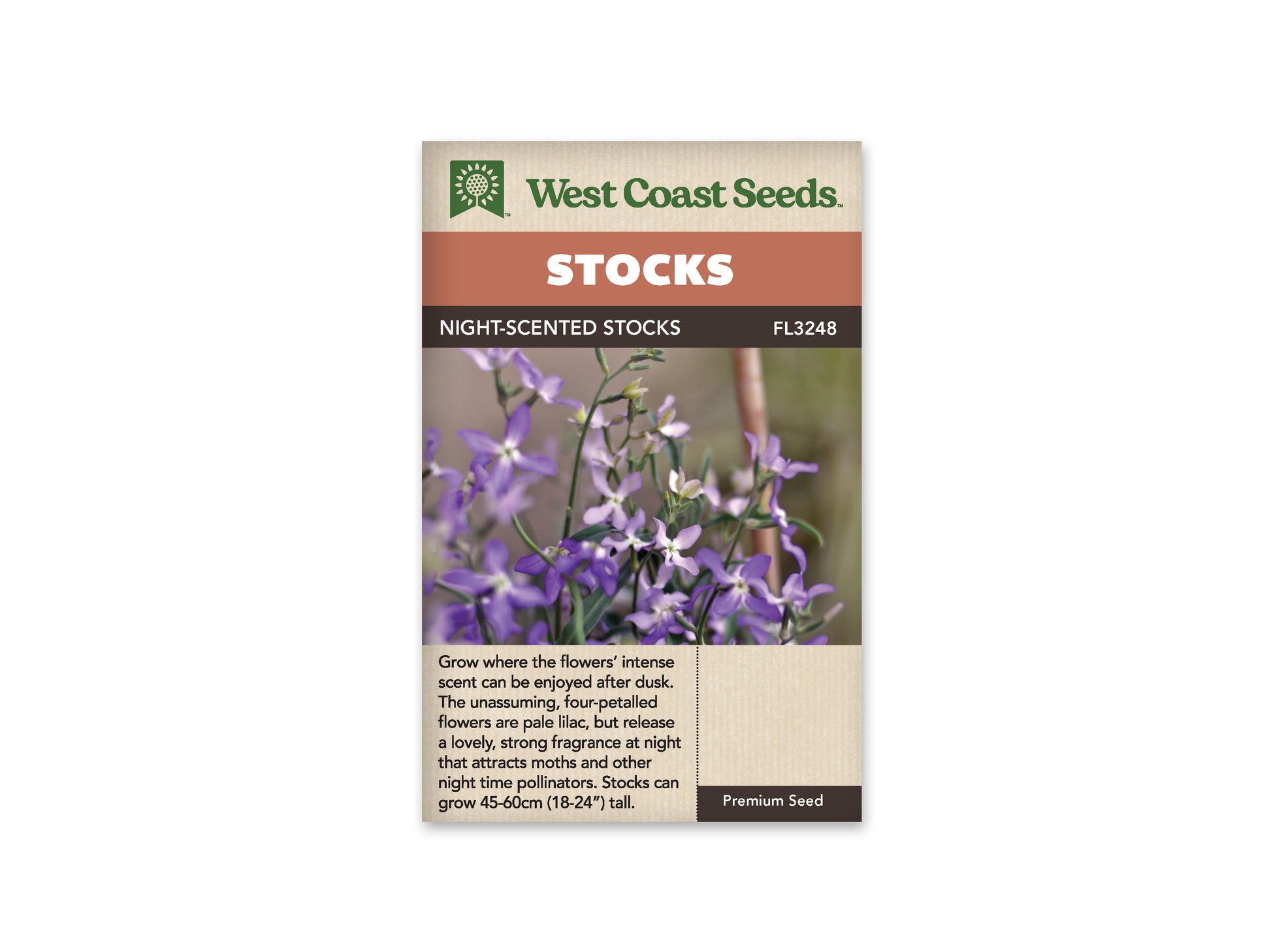 Stock "Evening Scented Stock" West Coast Seeds