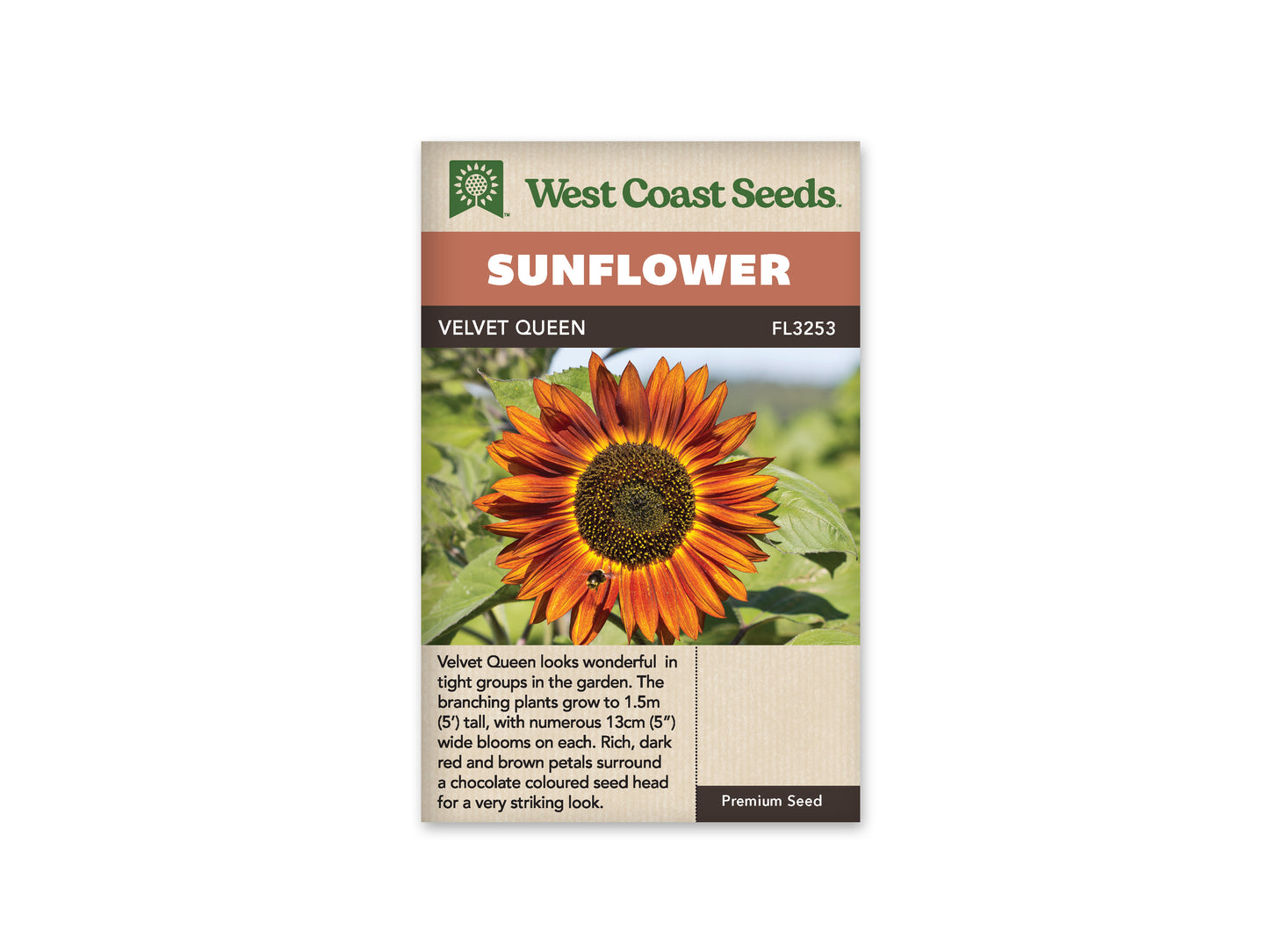 Sunflowers "Velvet Queen" West Coast Seeds