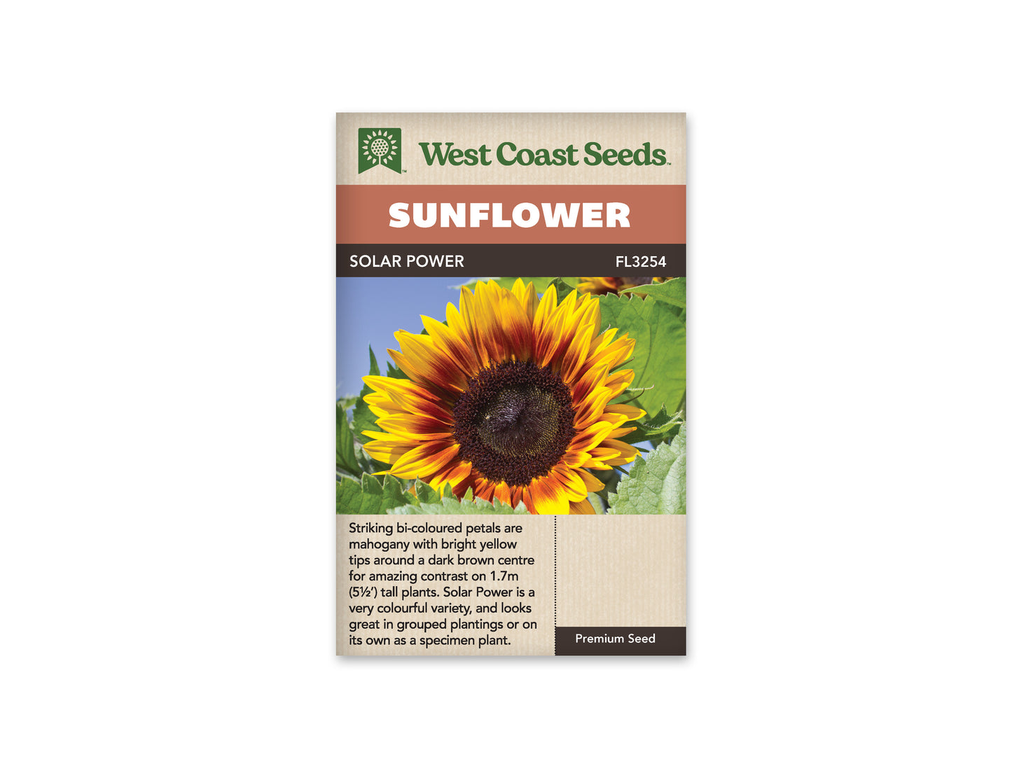 Sunflowers "Solar Power" West Coast Seeds