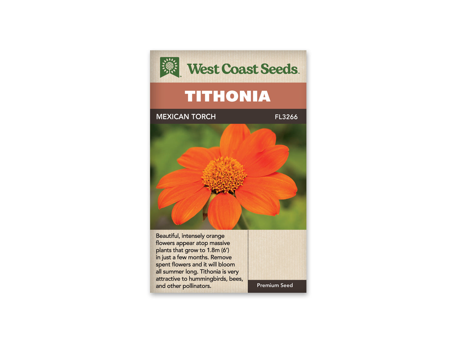 Tithonia “Mexican Torch” West Coast Seeds