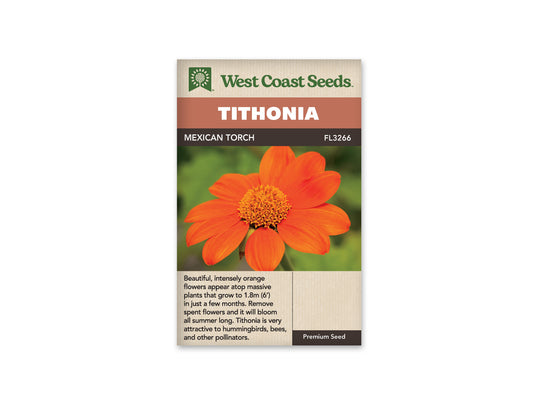 Tithonia “Mexican Torch” West Coast Seeds