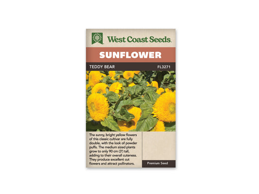 Sunflowers “Teddy Bear” West Coast Seeds