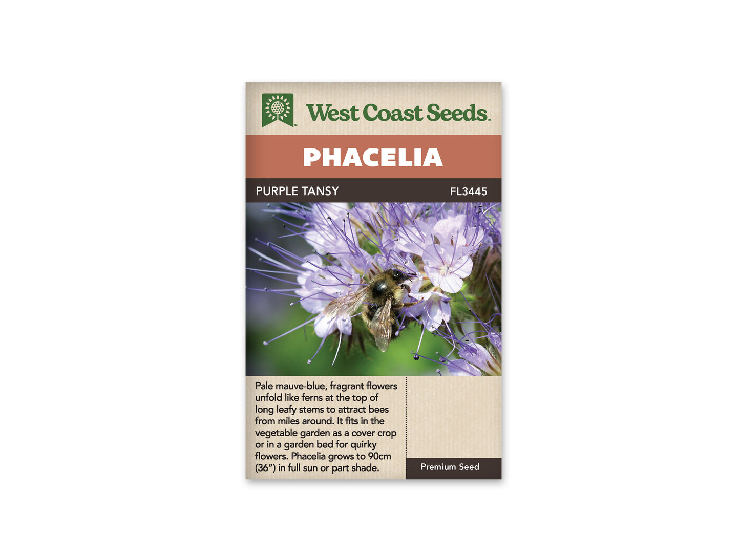 Phacelia "Lacy Phacelia" West Coast Seeds