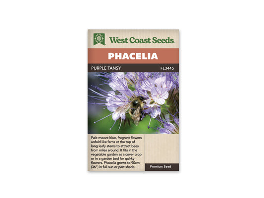Phacelia "Lacy Phacelia" West Coast Seeds