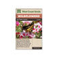 Wildflowers "Butterfly Blend" West Coast Seeds 5g