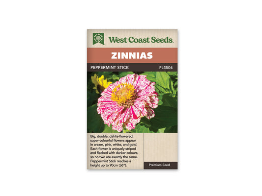 Zinnias “Peppermint Stick” West Coast Seeds