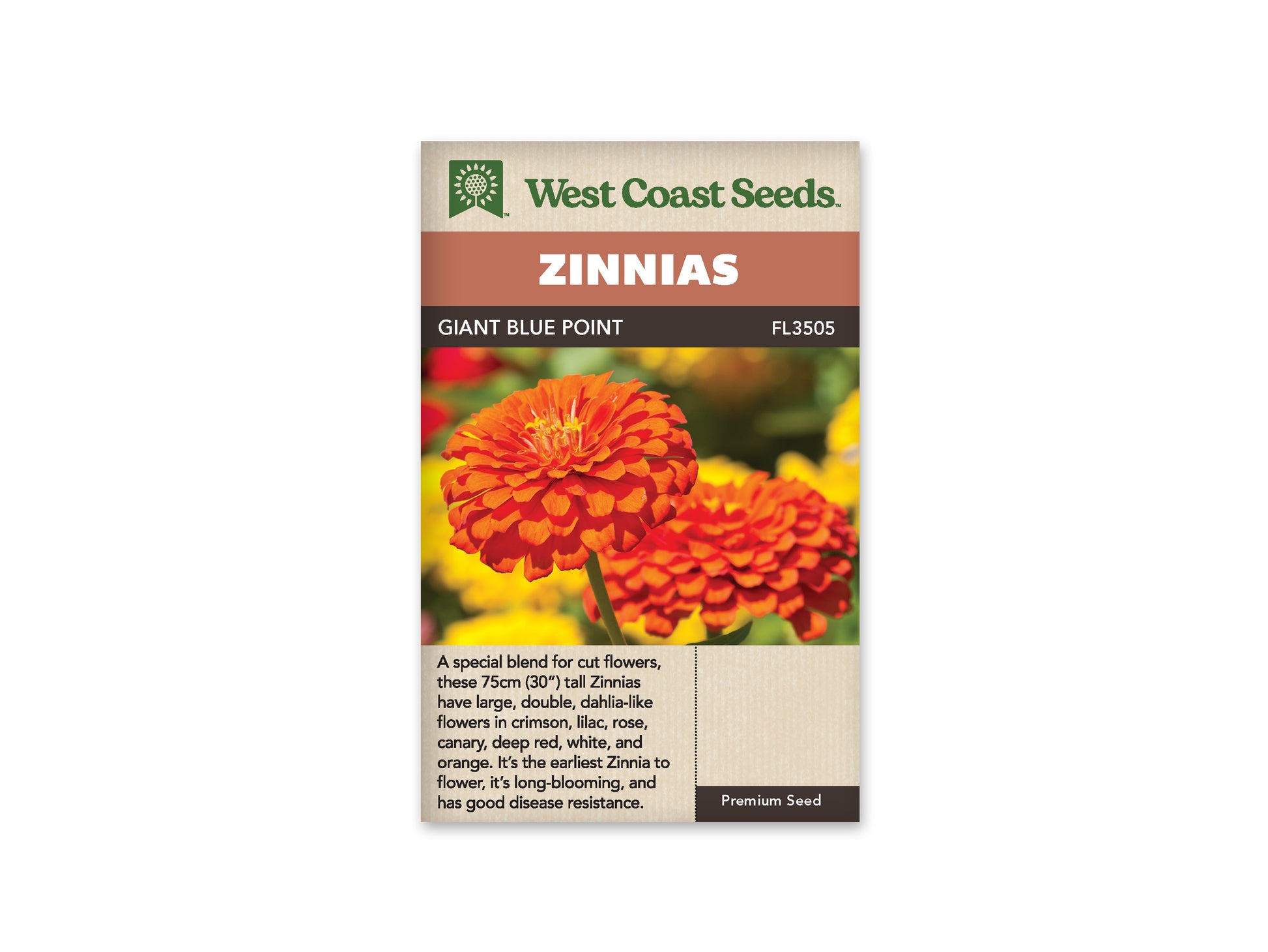 Zinnias "Giant Blue Point Formula" West Coast Seeds