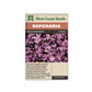 Saponaria “Rock Soapwort” West Coast Seeds