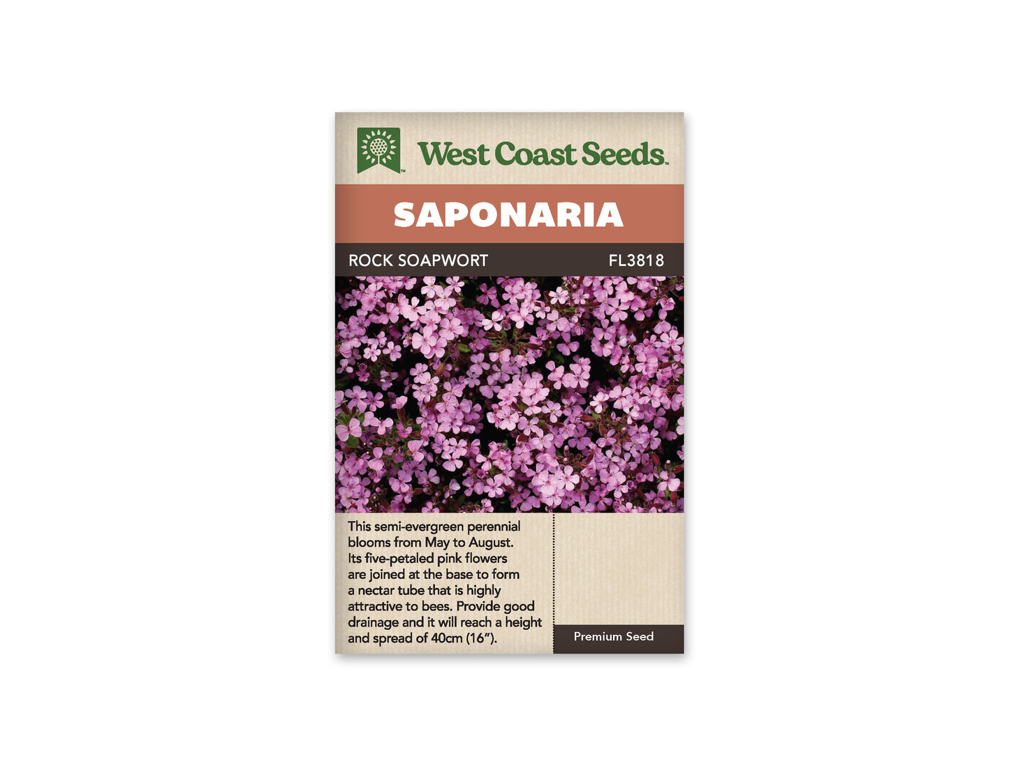 Saponaria “Rock Soapwort” West Coast Seeds