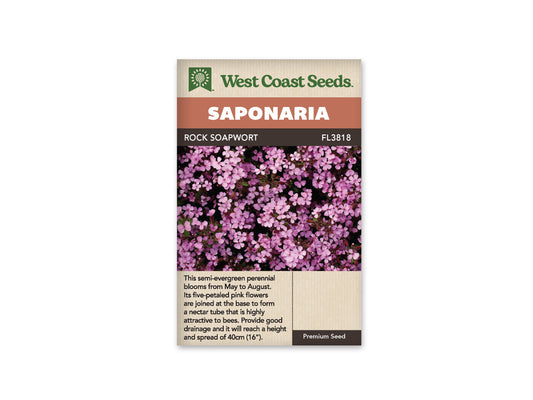 Saponaria “Rock Soapwort” West Coast Seeds