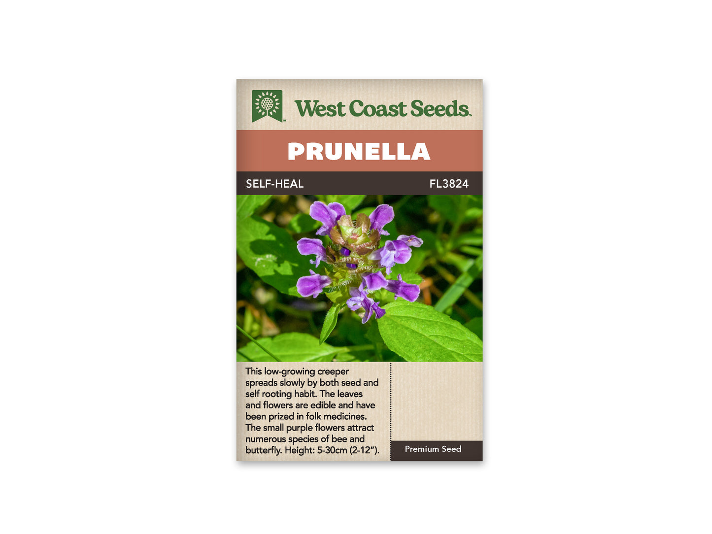 Prunella "Self-Heal" West Coast Seeds