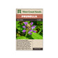 Prunella "Self-Heal" West Coast Seeds