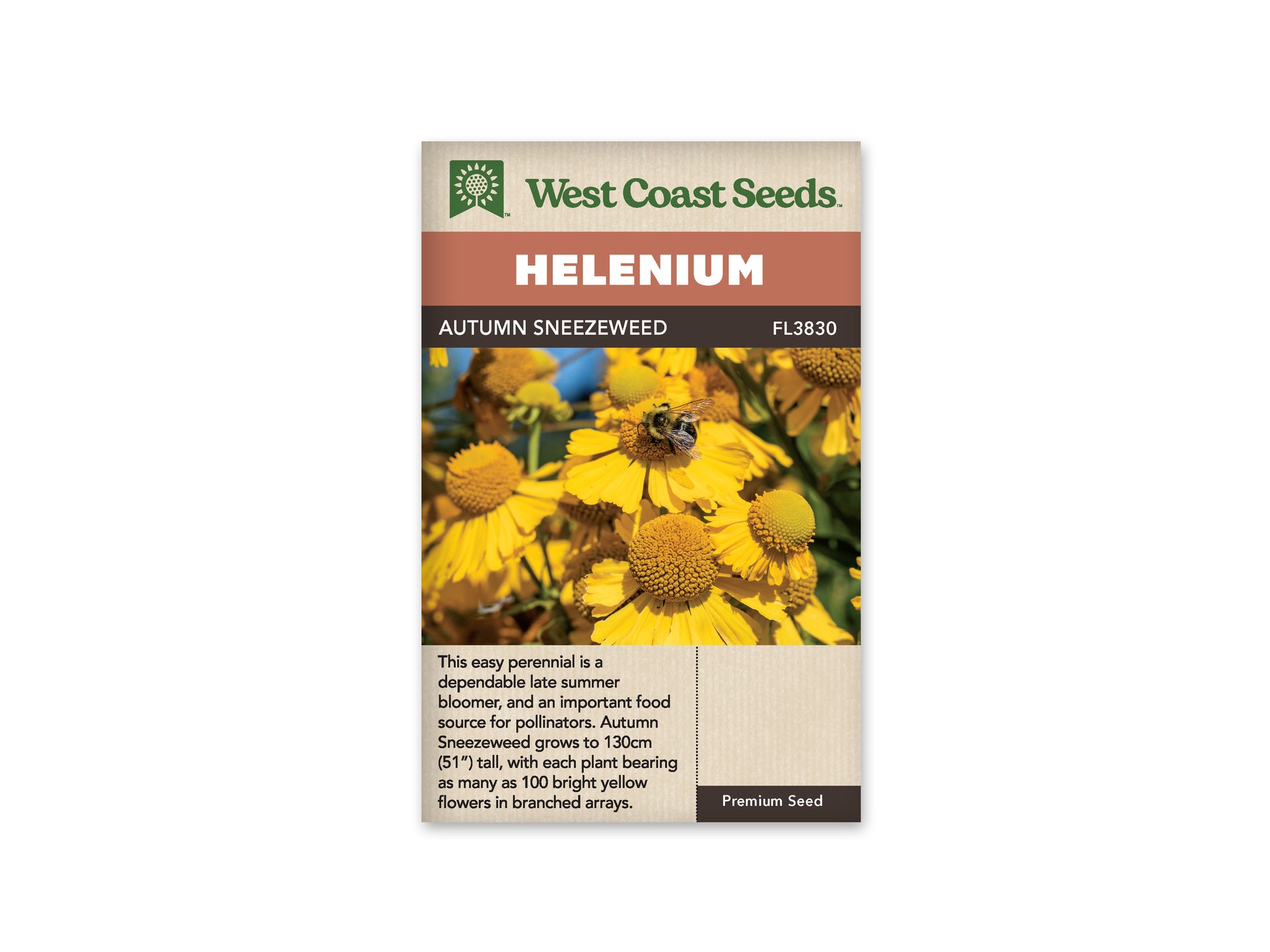 Helenium "Autumn Sneezeweed" West Coast Seeds
