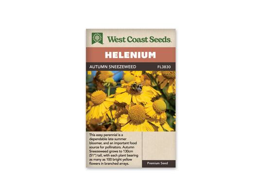 Helenium "Autumn Sneezeweed" West Coast Seeds