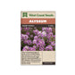 Alyssum "Dwarf Purple" West Coast Seeds