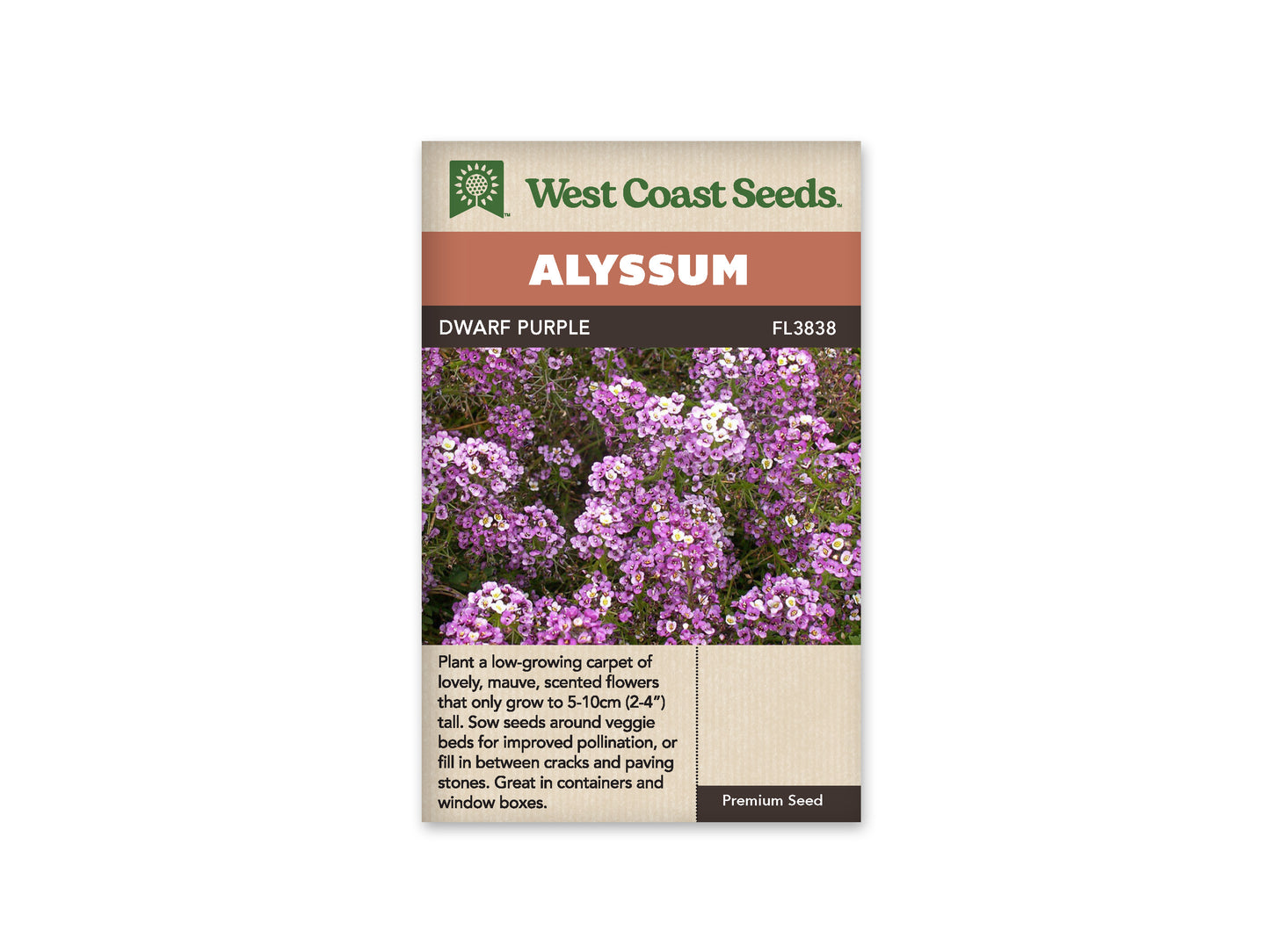 Alyssum "Dwarf Purple" West Coast Seeds