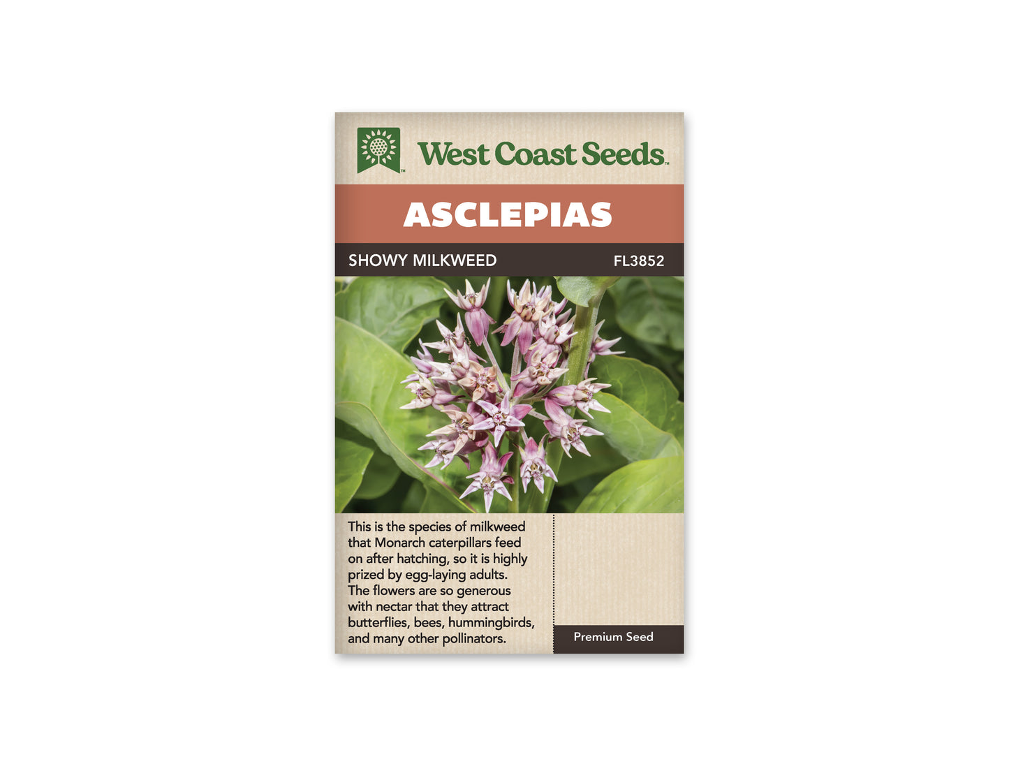 Milkweed "Showy Milkweed" West Coast Seeds