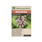 Milkweed "Showy Milkweed" West Coast Seeds