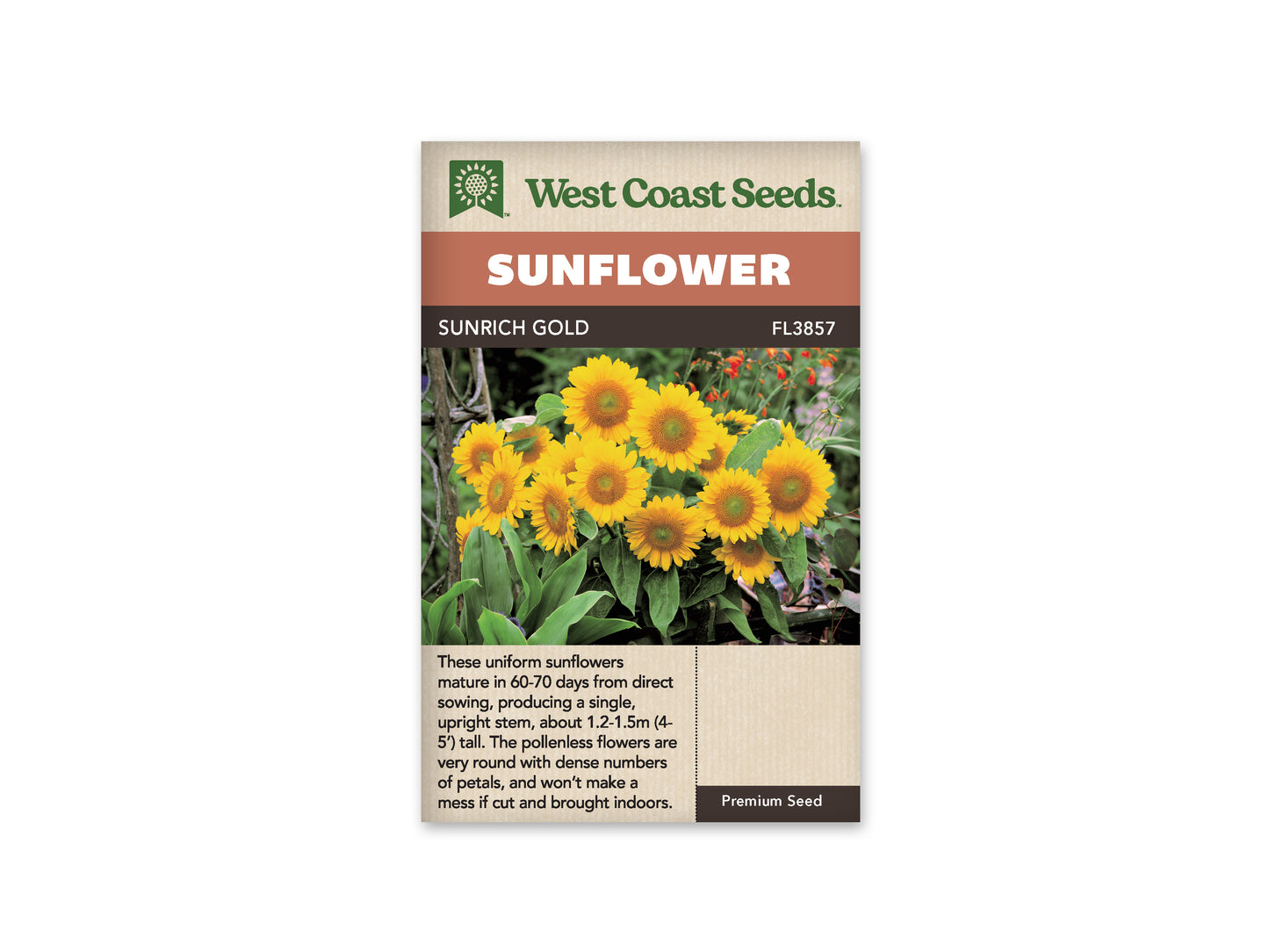 Sunflowers “Sunrich Gold” West Coast Seeds