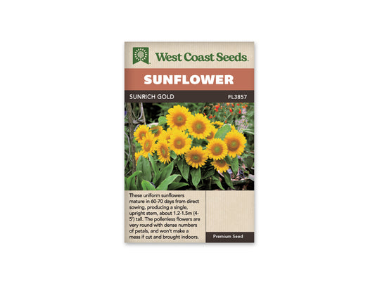 Sunflowers “Sunrich Gold” West Coast Seeds