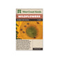 Wildflowers “Bumble Bee Blend” West Coast Seeds