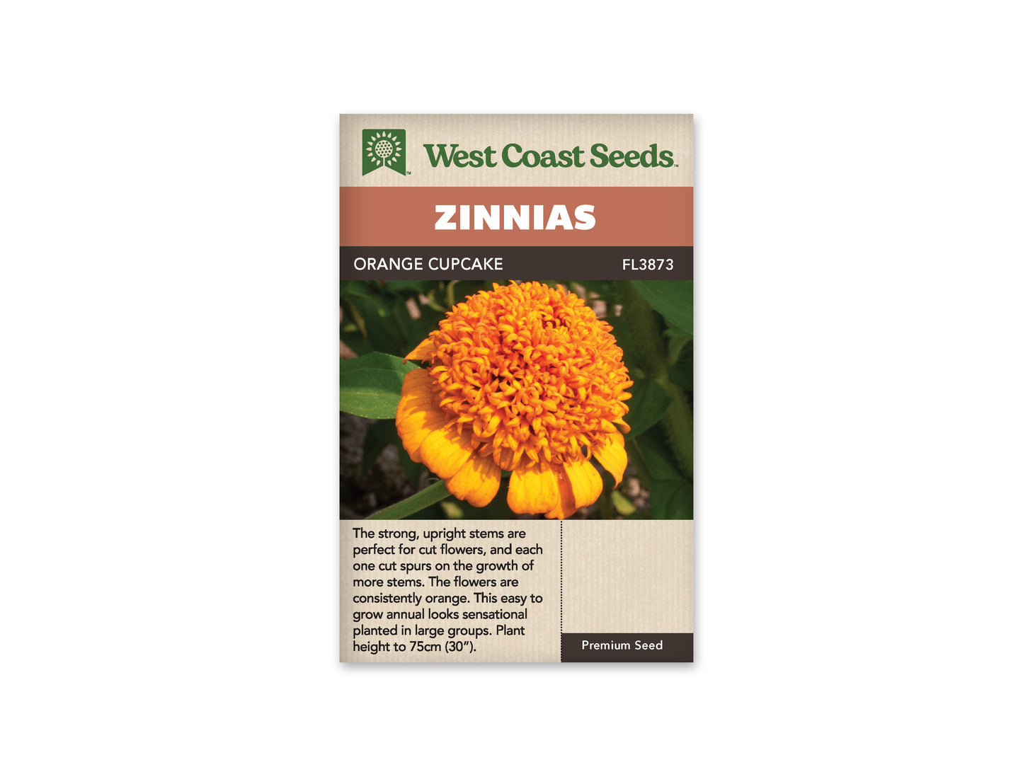 Zinnias “Orange Cupcake” West Coast Seeds