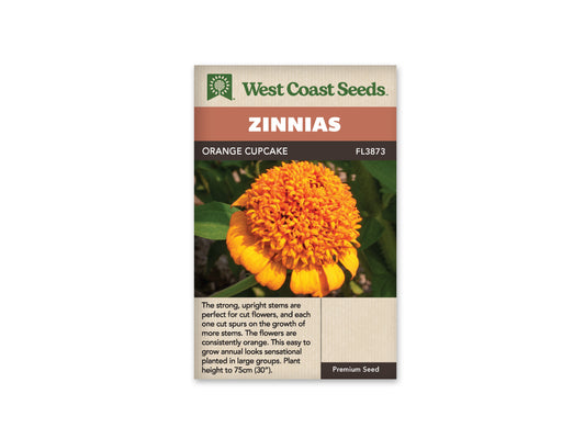 Zinnias “Orange Cupcake” West Coast Seeds