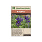 Salvia "Big Blue Salvia" West Coast Seeds