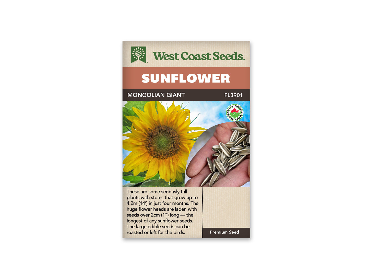 Sunflowers “Mongolian Giant Organic” West Coast Seeds