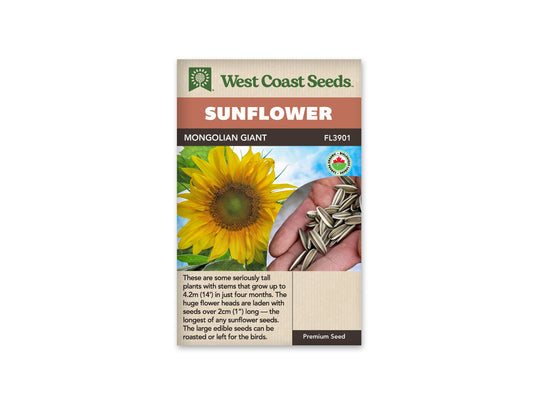 Sunflowers “Mongolian Giant Organic” West Coast Seeds