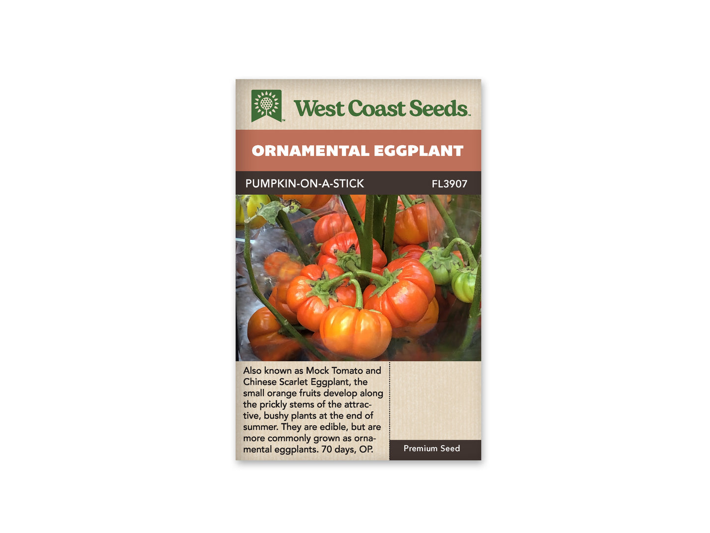 Eggplants “Pumpkin On A Stick” West Coast Seeds