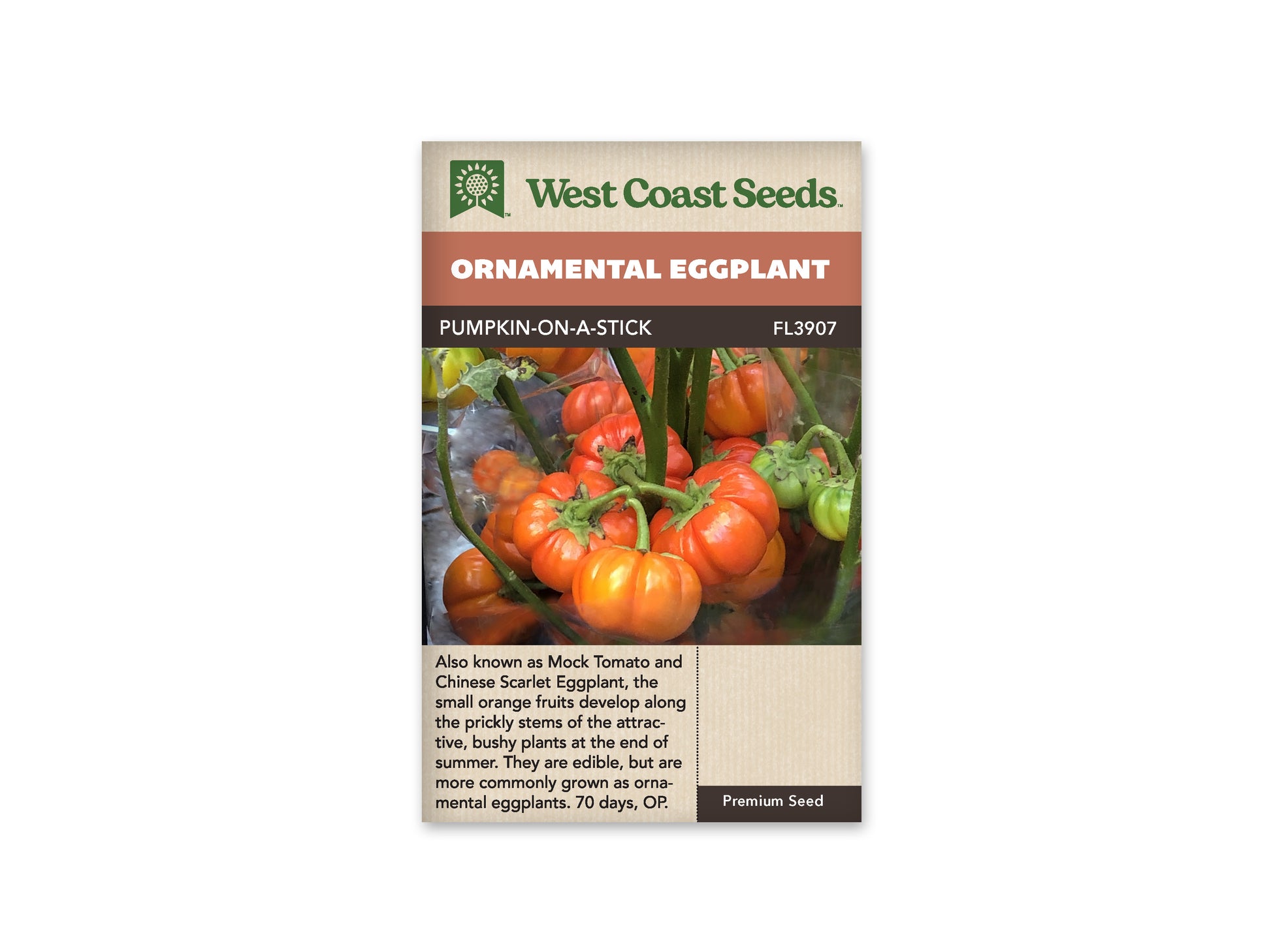 Eggplants “Pumpkin On A Stick” West Coast Seeds