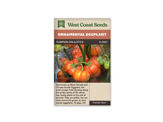 Eggplants “Pumpkin On A Stick” West Coast Seeds