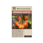 Eggplants “Pumpkin On A Stick” West Coast Seeds