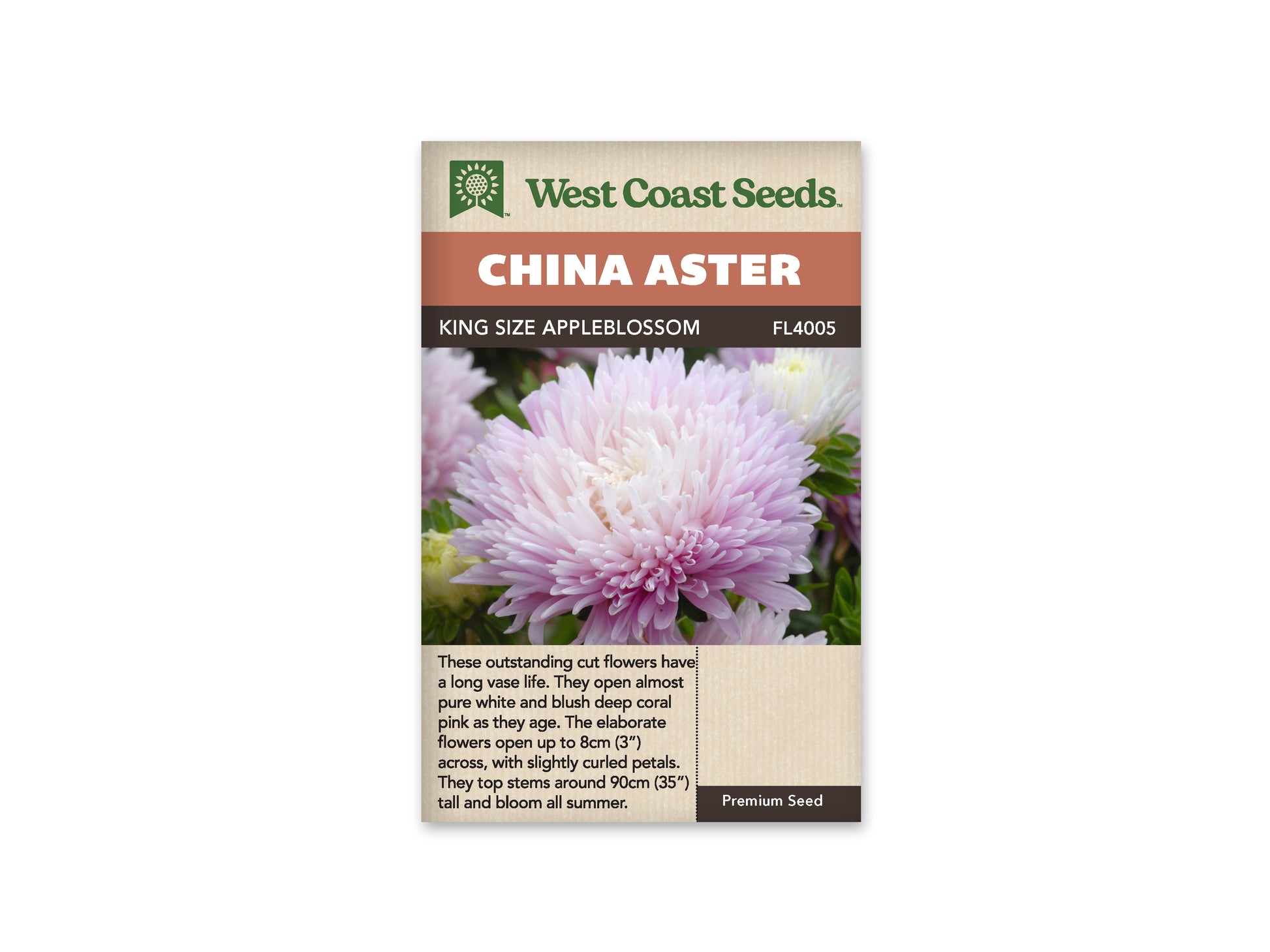 Aster “King Size Appleblossom” West Coast Seeds