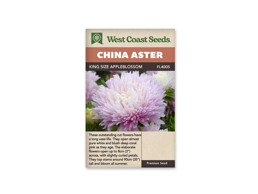 Aster “King Size Appleblossom” West Coast Seeds