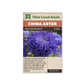 Aster “King Size Mid-Blue” West Coast Seeds