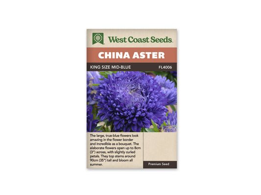 Aster “King Size Mid-Blue” West Coast Seeds