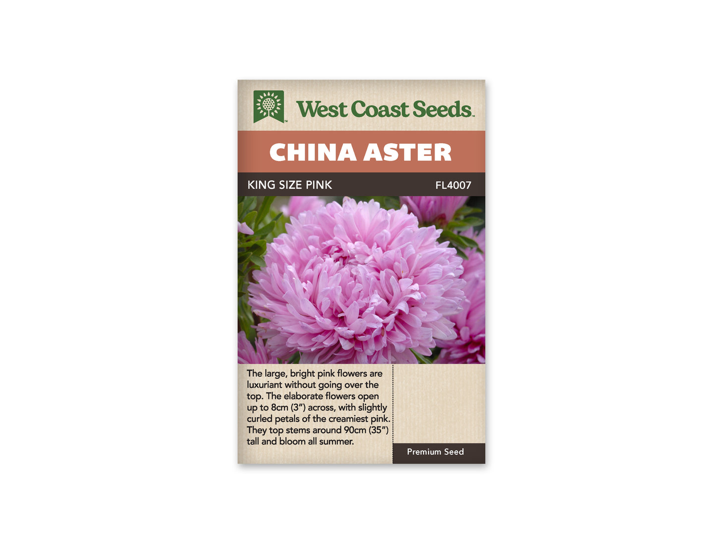 Aster "King Size Pink" West Coast Seeds