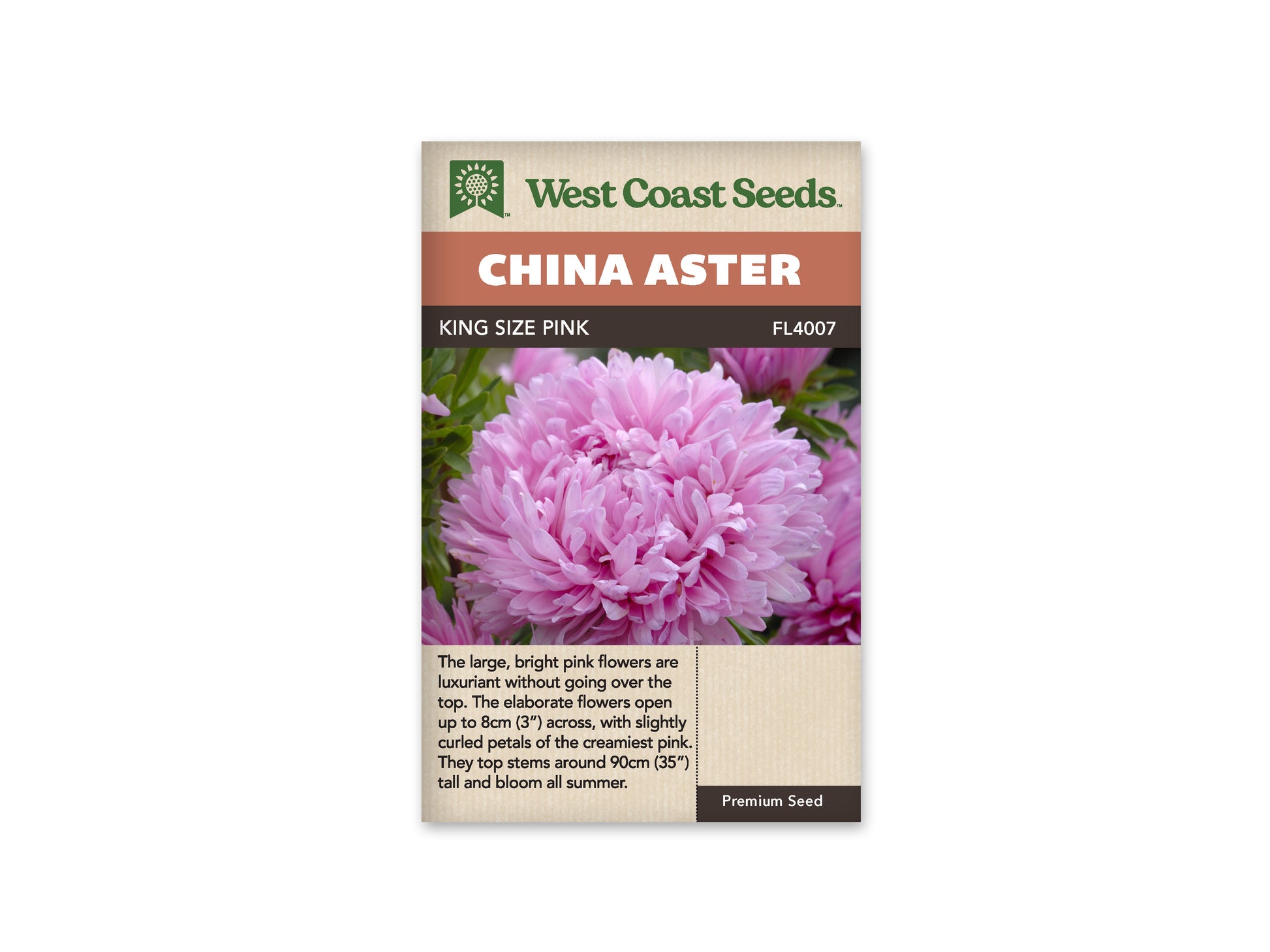 Aster "King Size Pink" West Coast Seeds