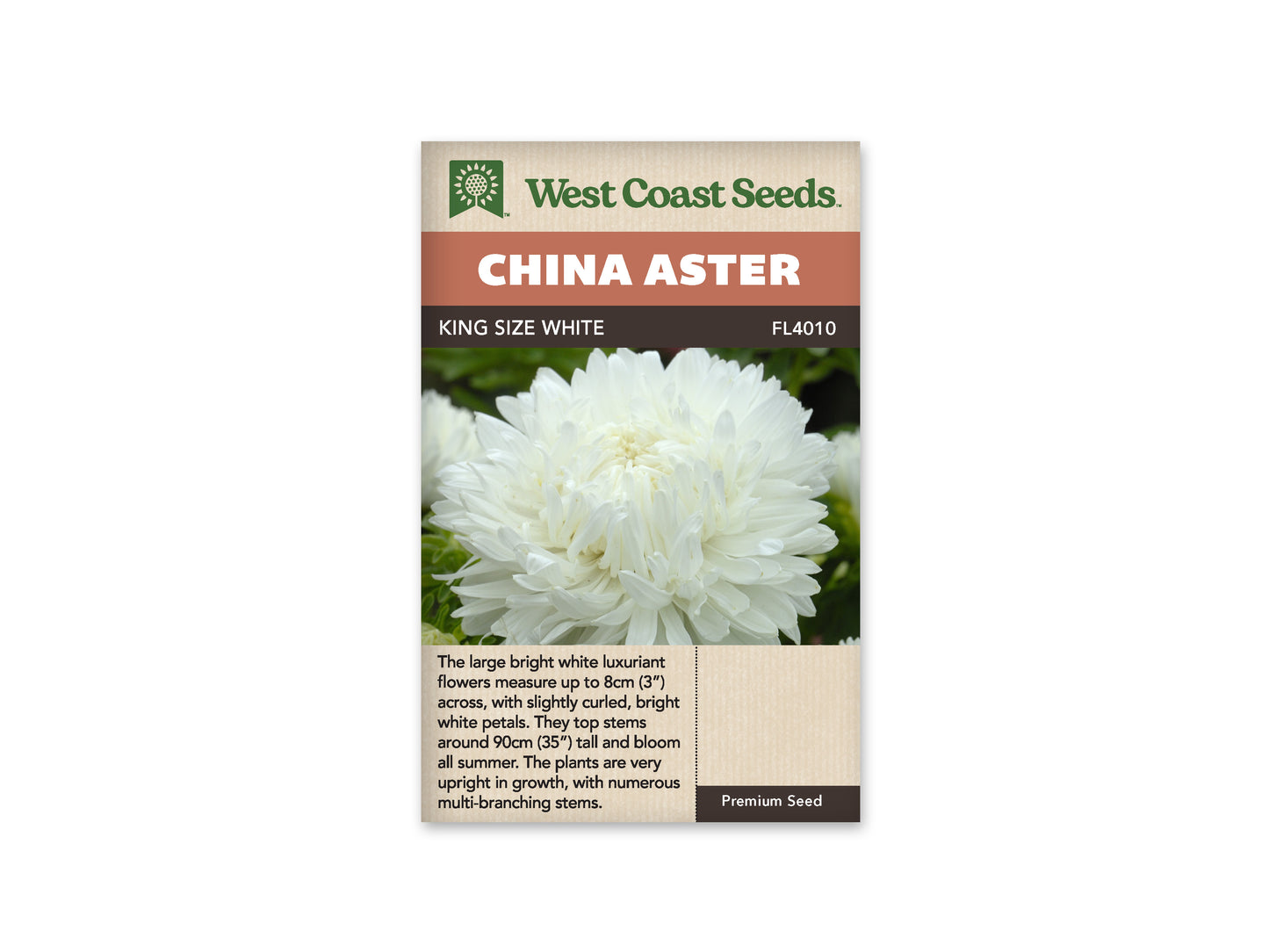 Aster "King Size White" West Coast Seeds