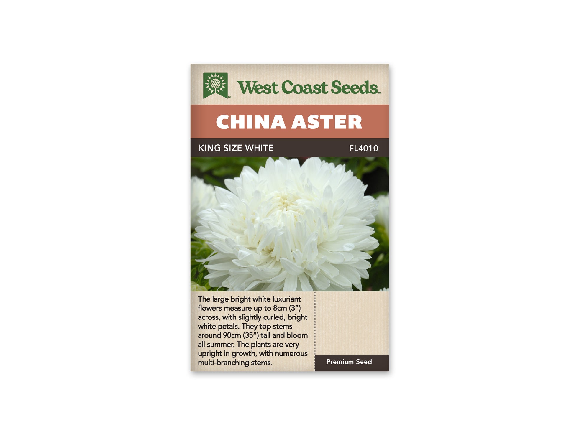 Aster "King Size White" West Coast Seeds