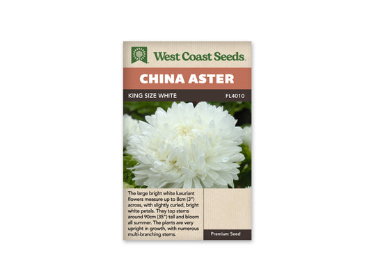 Aster "King Size White" West Coast Seeds