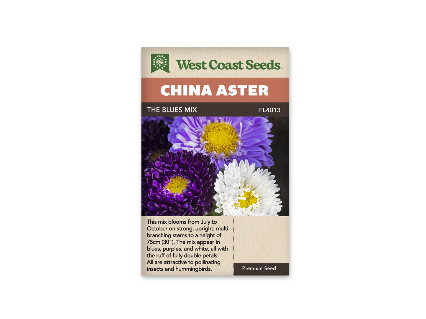 Aster “The Blues Mix” West Coast Seeds