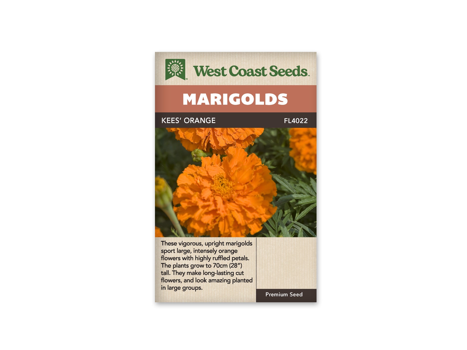 Marigolds “Kees' Orange” West Coast Seeds