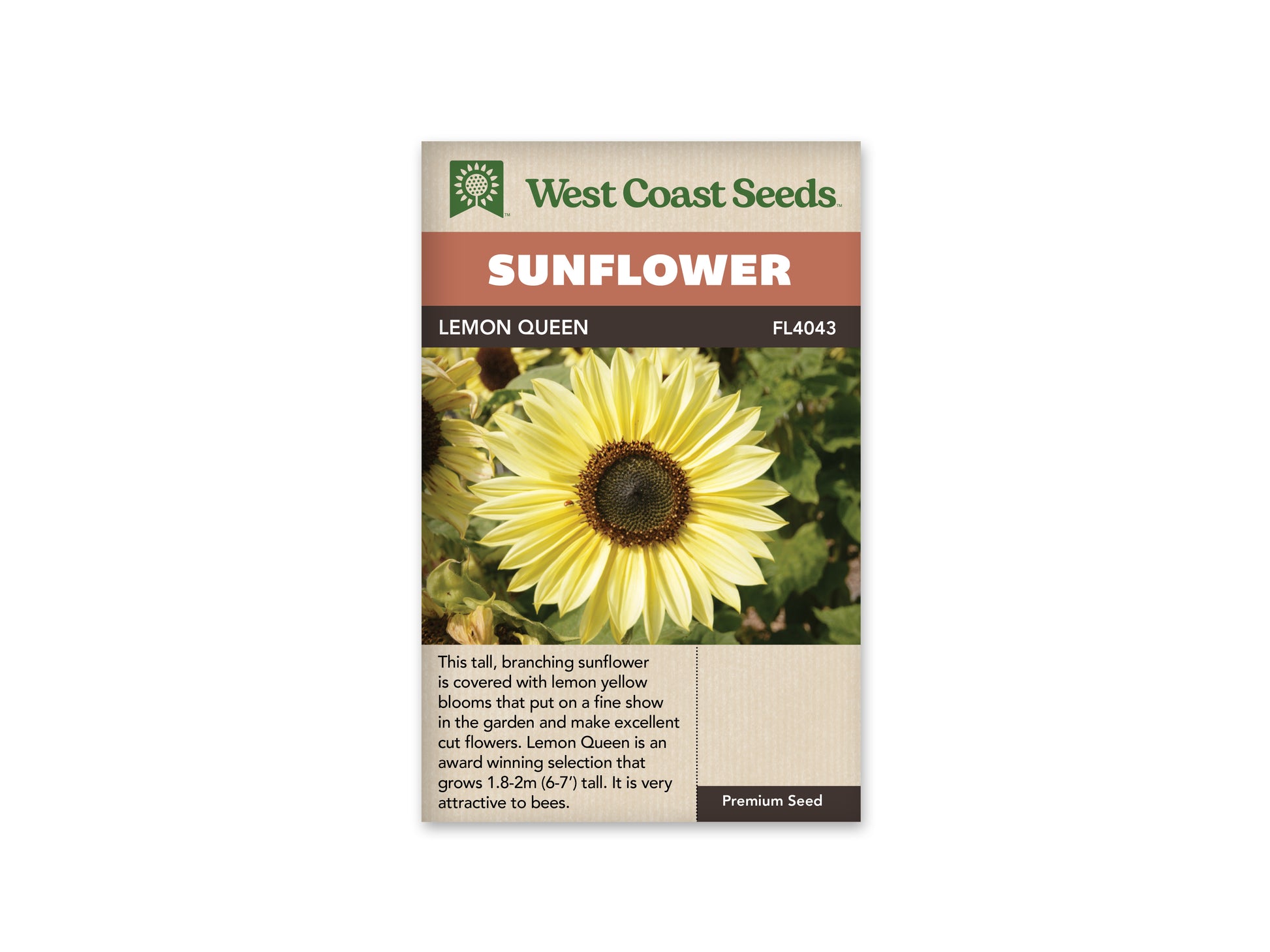 Sunflowers "Lemon Queen" West Coast Seeds