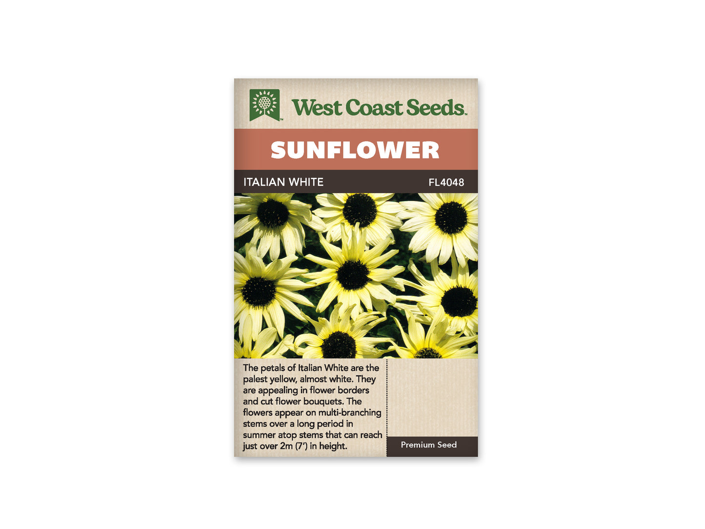 Sunflowers “Italian White” West Coast Seeds