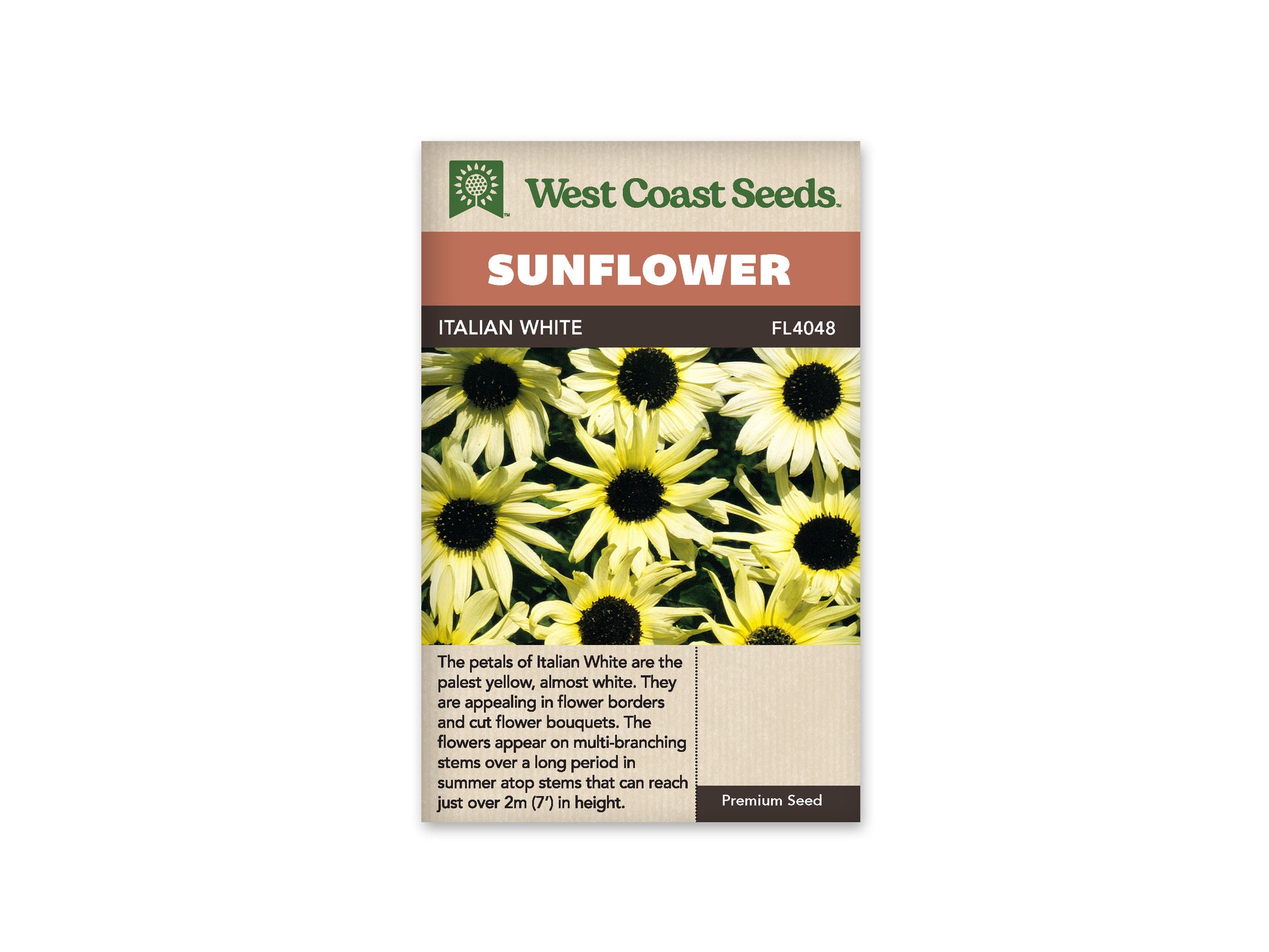 Sunflowers “Italian White” West Coast Seeds