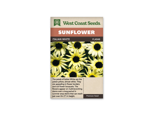 Sunflowers “Italian White” West Coast Seeds